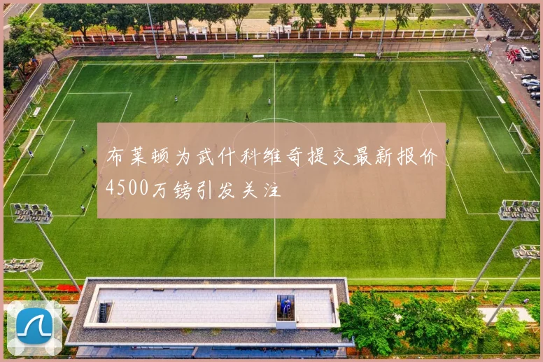 布莱顿为武什科维奇提交最新报价4500万镑引发关注